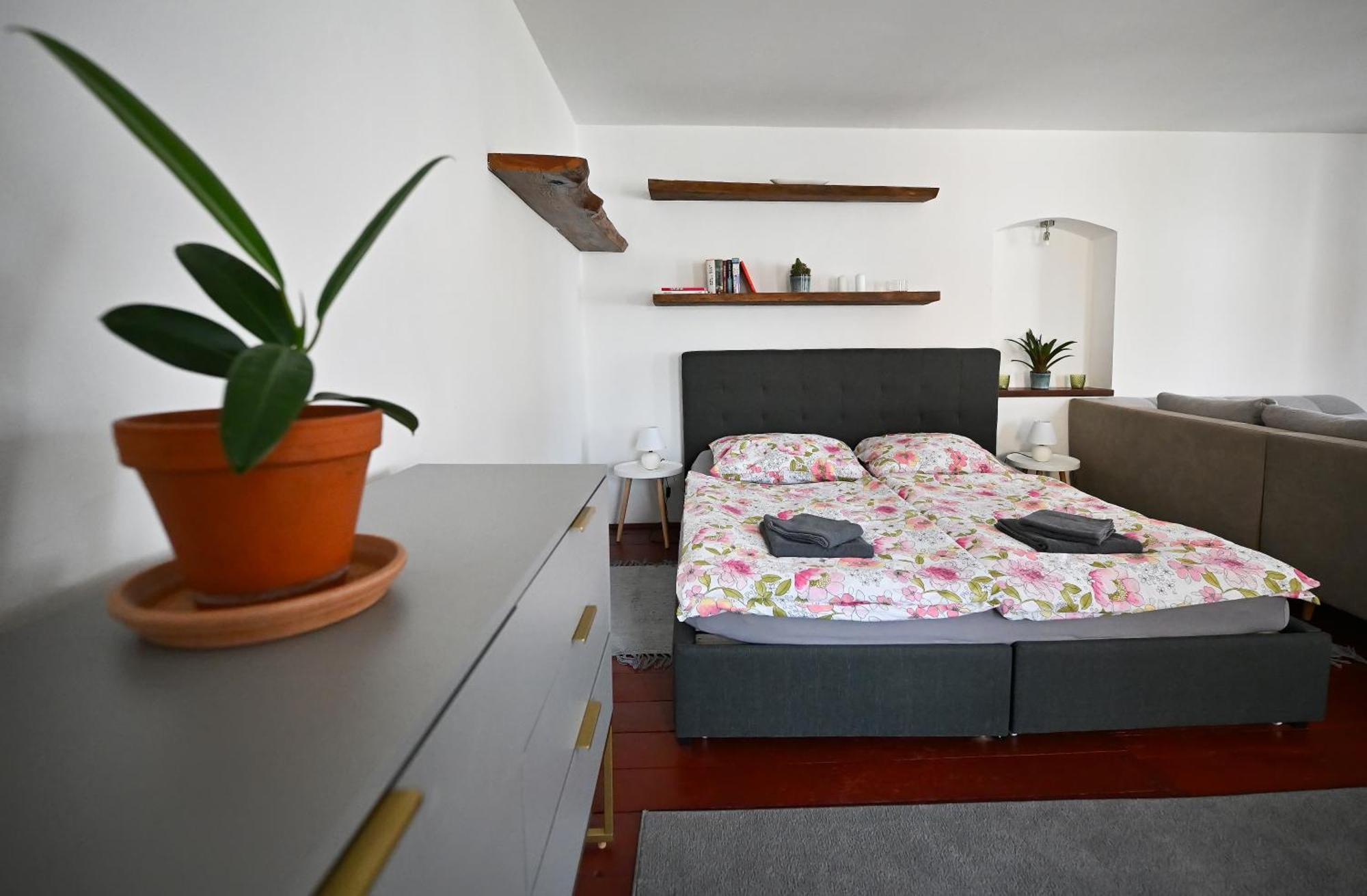 Apartman U Spinaru Třešť 외부 사진